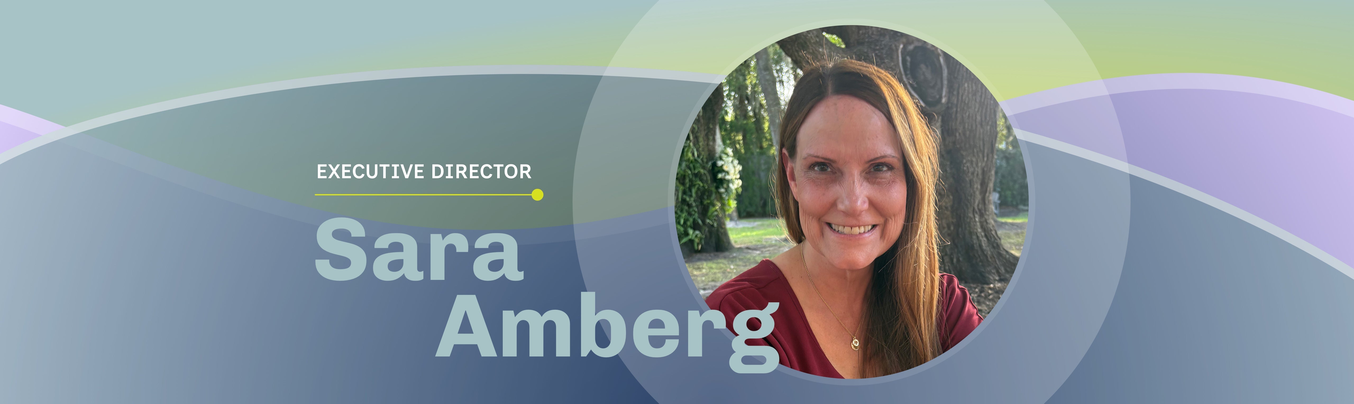 Dreamzilla Appoints Sara Amberg as Executive Director