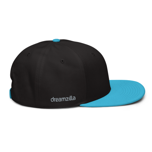 Right Side of DZ Snapback in Black with Aqua Blue Brim